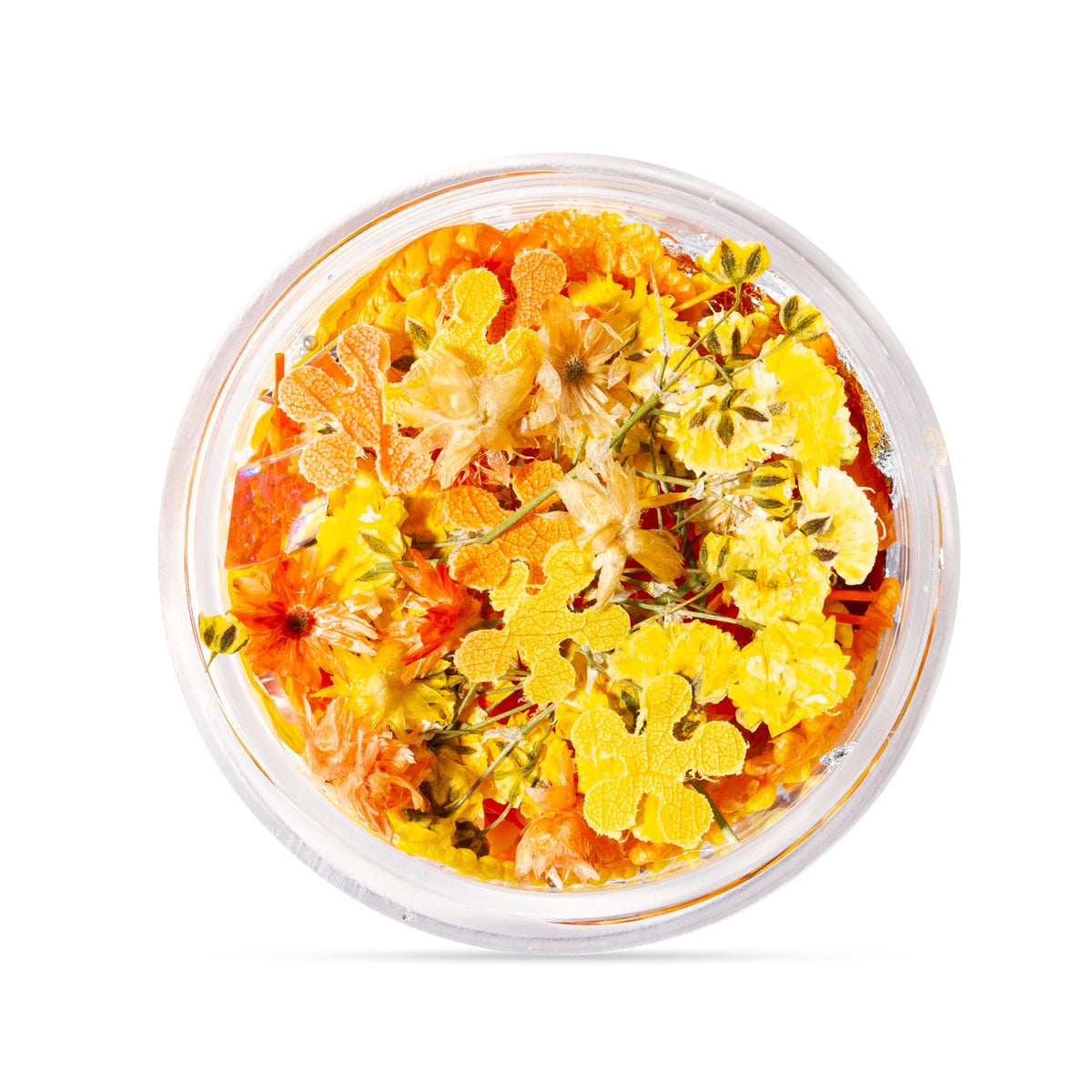 02 Antologia Floral