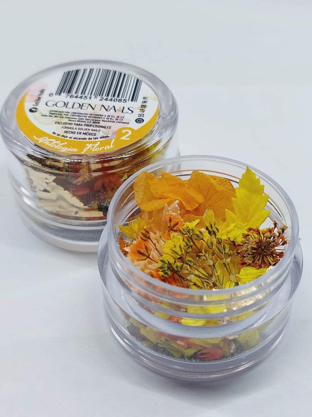 ANTOLOGIA FLORAL (NATURALEZA)